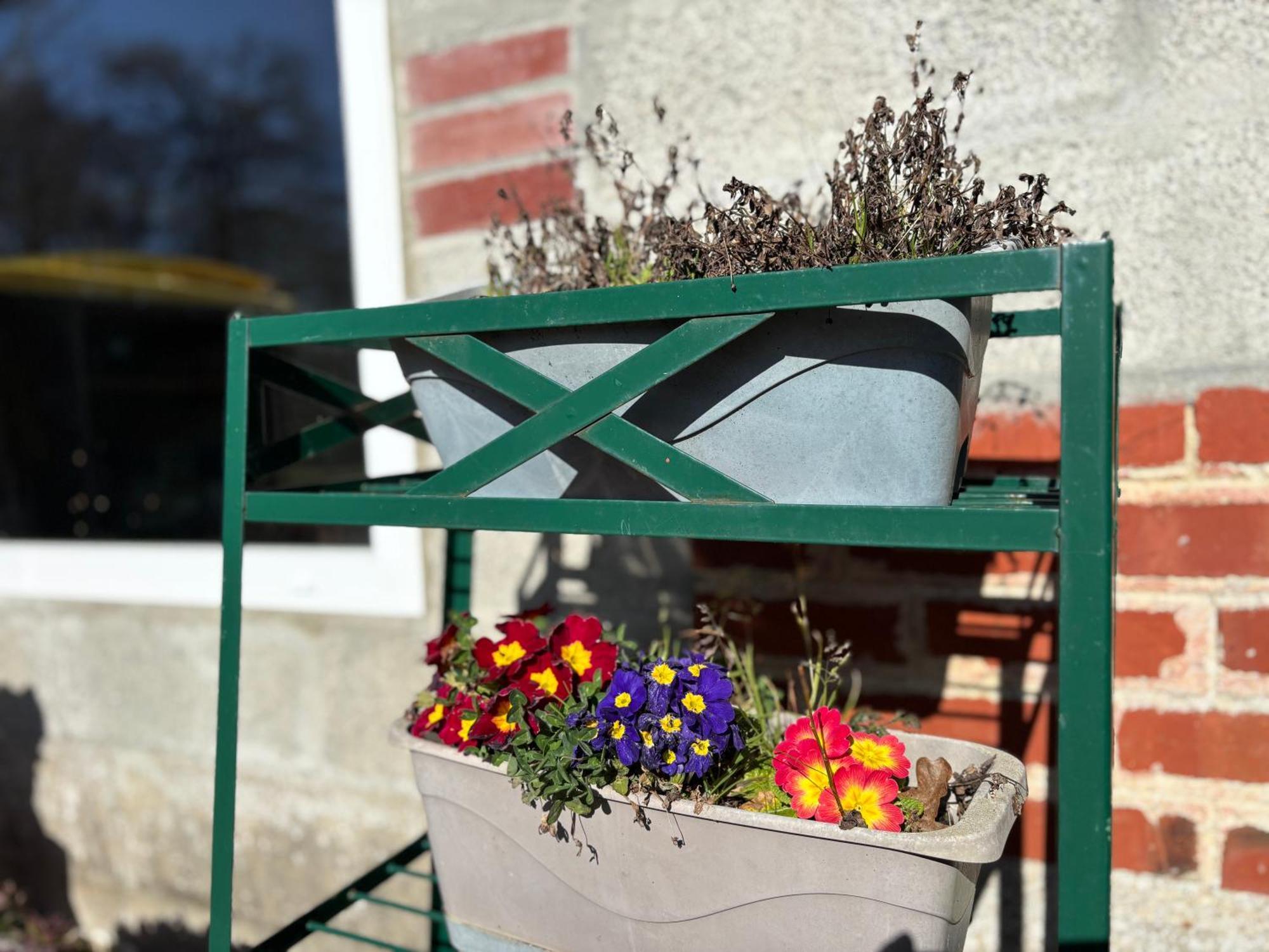 Maison De Campagne Lumineuse Spacieuse Dans Impasse Au Calme A Proximite D'Un Chateau Deux Verandas Grand Jardin Cabane Pour Velos, Pres Port En Bessin Et Bayeux, Proche Plages Du Debarquement Commes Exteriér fotografie